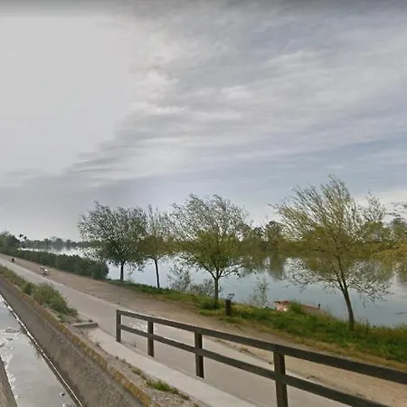 El Piset De L'ebre, Residencia Nueva Con Piscina Centro Del Delta Lejlighed Deltebre