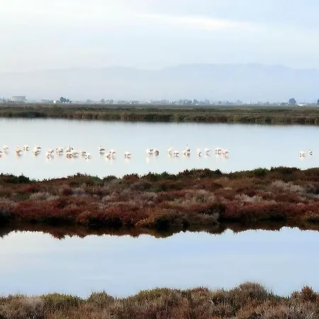 El Piset De L'ebre, Residencia Nueva Con Piscina Centro Del Delta